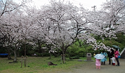 2014-03-293018.JPG