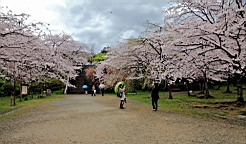 2014-03-293020.JPG