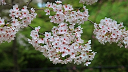 2014-03-293023.JPG