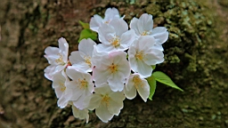 2014-03-293027.JPG