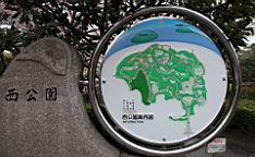2014-03-293037.JPG