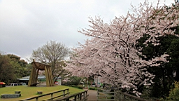 2014-03-293039.JPG