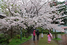 2014-03-293047.JPG