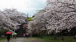 DSC00078.JPG