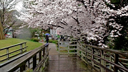 DSC00081.JPG