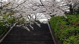 DSC00083.JPG