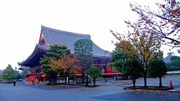 2015-11-180935.JPG