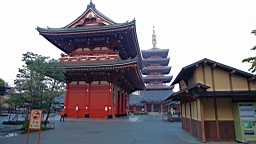 2015-11-180940.JPG