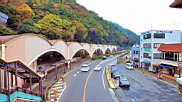 2015-11-180947.JPG