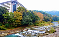 2015-11-180949.JPG