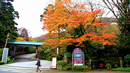 2015-11-180959.JPG