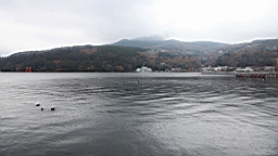 2015-11-180966.JPG