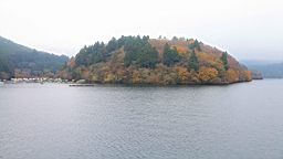 2015-11-180976.JPG