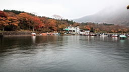 2015-11-180986.JPG