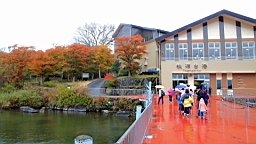 2015-11-180988.JPG