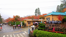 2015-11-180994.JPG