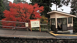 2015-11-180998.JPG
