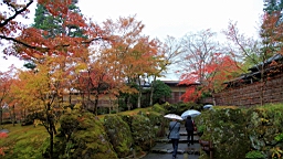 2015-11-180999.JPG