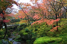 2015-11-181001.JPG