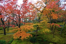 2015-11-181003.JPG