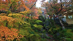 2015-11-181004.JPG