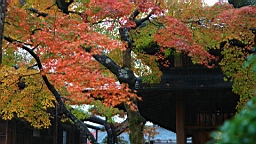2015-11-181006.JPG