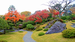 2015-11-181008.JPG