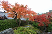 2015-11-181009.JPG