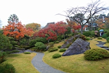 2015-11-181010.JPG