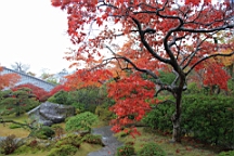 2015-11-181013.JPG