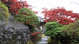 2015-11-181015.JPG