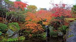 2015-11-181023.JPG