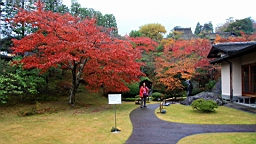 2015-11-181024.JPG