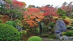 2015-11-181025.JPG