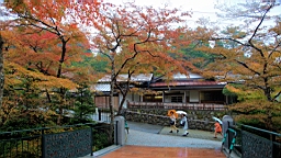 2015-11-181027.JPG