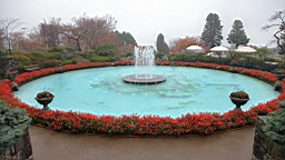 2015-11-181030.JPG
