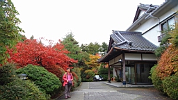 2015-11-191042.JPG