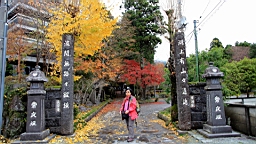 2015-11-191055.JPG