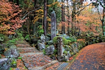 2015-11-191064.JPG
