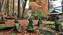 2015-11-191066.JPG