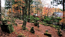 2015-11-191068.JPG