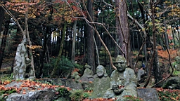 2015-11-191075.JPG