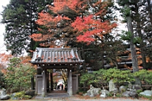 2015-11-191076.JPG