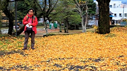 2015-11-191085.JPG