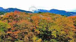 2015-11-191101.JPG
