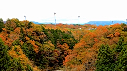 2015-11-191102.JPG