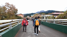 2015-11-191103.JPG
