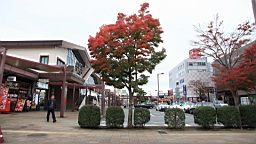 2015-11-191111.JPG