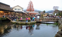 2015-11-191124.JPG