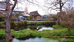2015-11-191138.JPG